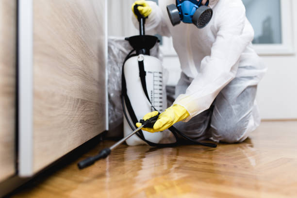 Best Pest Control Near Me  in New London, OH