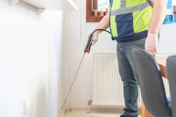 Best Affordable Pest Control Services  in New London, OH