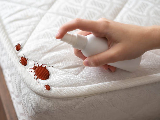 Best Insect Control  in New London, OH